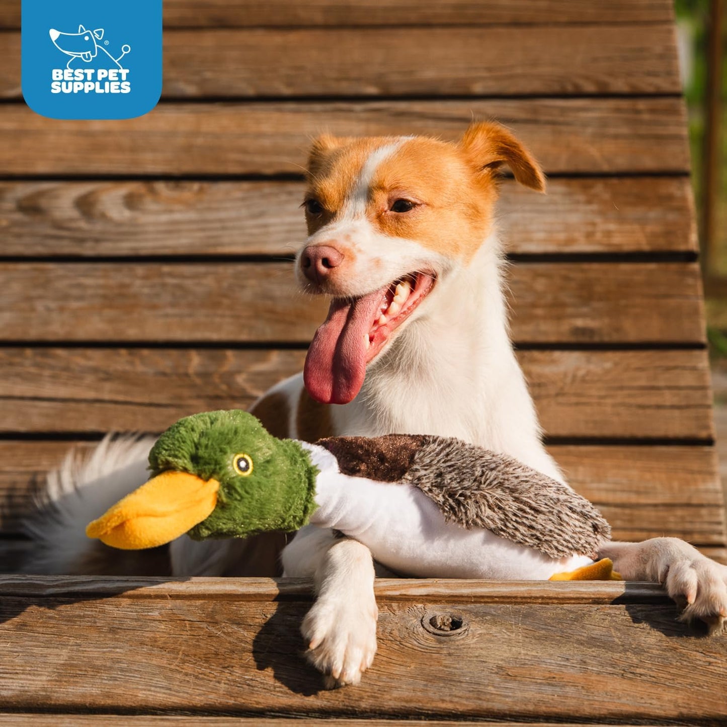 Interactive Squeaky Dog Chew Toy, Ideal Dog Toys for Chewers, Small, Medium & Large Dogs, and Fetch Lovers - Mallard Duck (Brown), Small