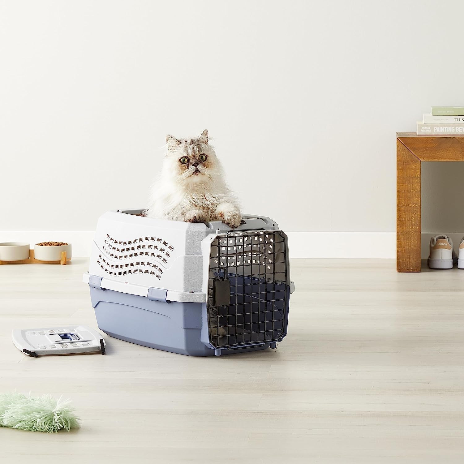 Two-Door Top-Load Hard-Sided Pet Travel Carrier, 58.4 Cm